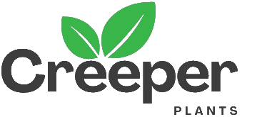 Creeper plant site's logo