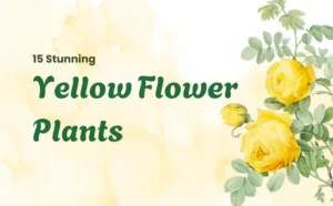 15 Best yellow flower plants for Indian home gardens