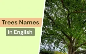 Popular trees names